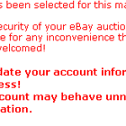 eBay Security Measures: Verify Your Identity - Email Scam