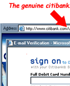 Citibank Email Verification