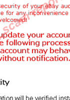 eBay Security Measures: Verify your identity