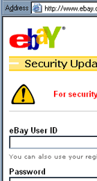 eBay.com Protection bogus web page with form