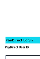 Yahoo! PayDirect Investigation