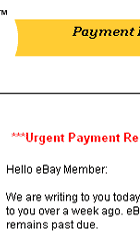 eBay - Urgent Payment Reminder