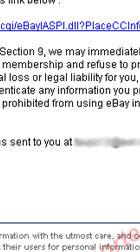 eBay Reminder : Email regarding pre-indefinitely suspended from eBay #1