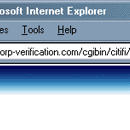 Citibank Secure Verification Process