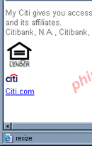 Citibank Secure Verification Process