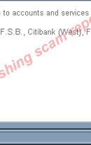 Citibank Secure Verification Process