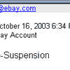 eBay fake email and web page scam.