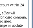 Spoof eBay web page